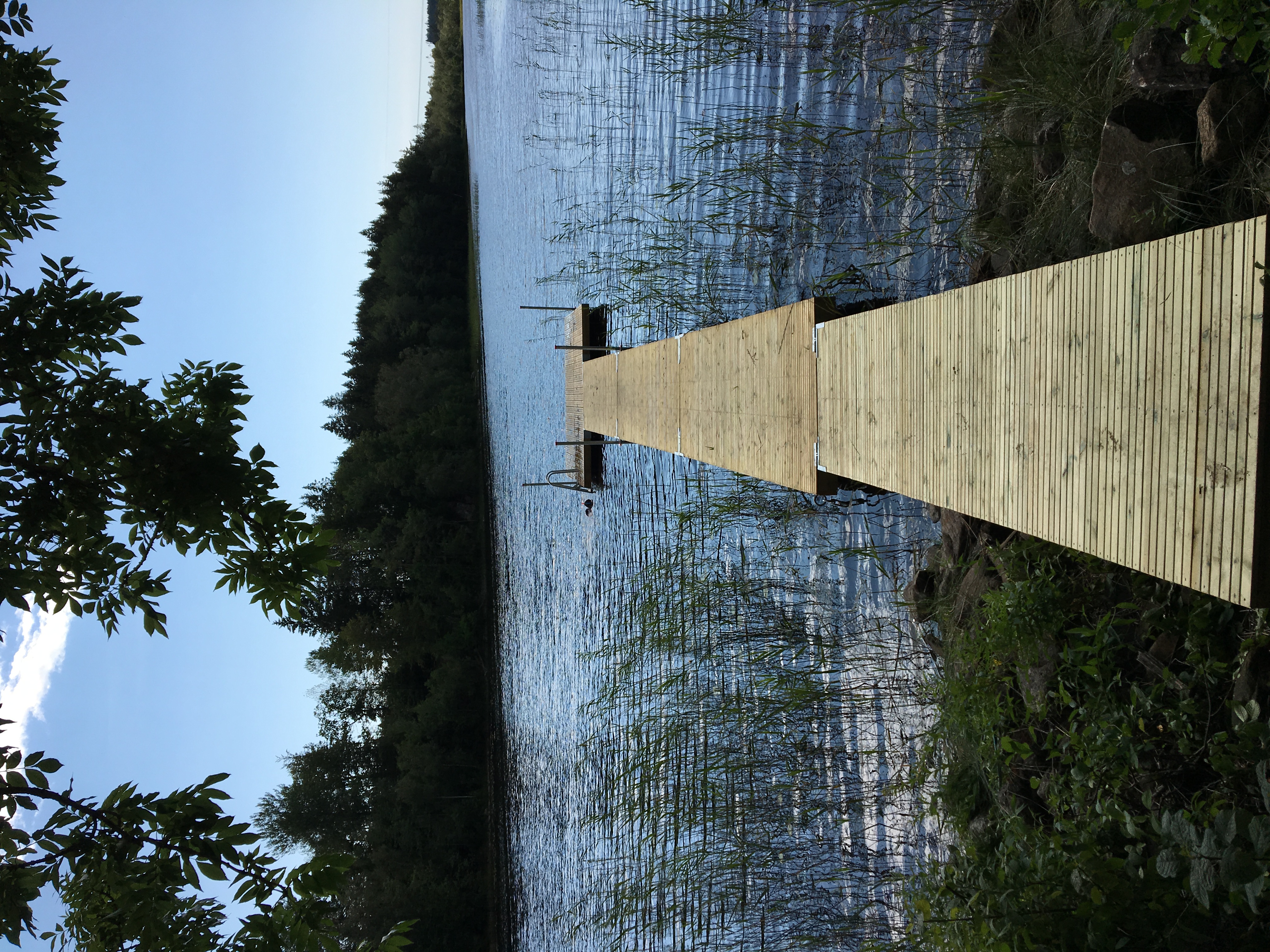 Lätt badbrygga i insjö i Västra Götaland